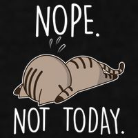 Nope Not Today Funny Lazy Cat Ladies PosiCharge Tri-Blend Wicking Tank