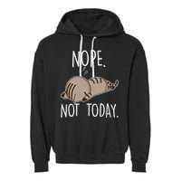 Nope Not Today Funny Lazy Cat Garment-Dyed Fleece Hoodie