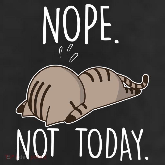 Nope Not Today Funny Lazy Cat 7 Panel Mesh Trucker Snapback Hat