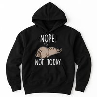 Nope Not Today Funny Lazy Cat Hoodie