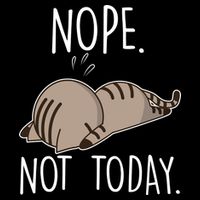 Nope Not Today Funny Lazy Cat 7-Panel Snapback Hat