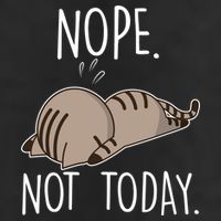 Nope Not Today Funny Lazy Cat Beanie
