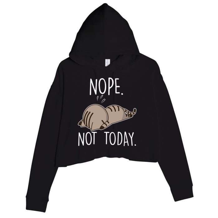 Nope Not Today Funny Lazy Cat Crop Fleece Hoodie