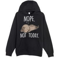 Nope Not Today Funny Lazy Cat Premium Pullover Hoodie