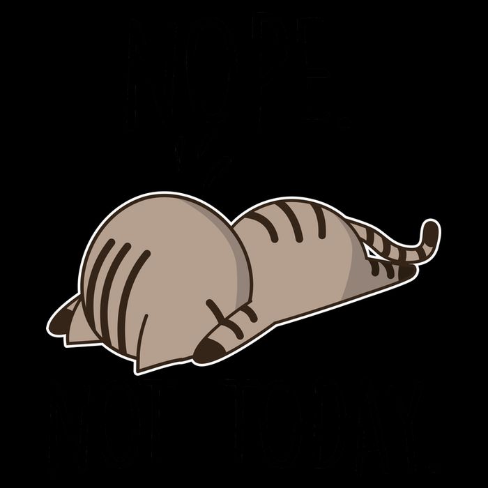 Nope Not Today Funny Lazy Cat 16oz Travel Tumbler