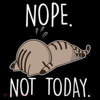Nope Not Today Funny Lazy Cat Cooling Performance Long Sleeve Crew
