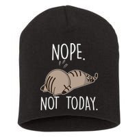 Nope Not Today Funny Lazy Cat Short Acrylic Beanie