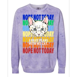 Nope Not Today I Have Plans With My Cat Colorblast Crewneck Sweatshirt