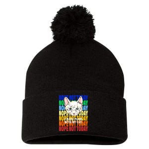 Nope Not Today I Have Plans With My Cat Pom Pom 12in Knit Beanie