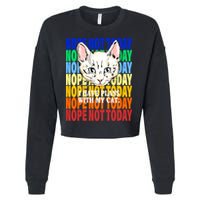 Nope Not Today I Have Plans With My Cat Cropped Pullover Crew