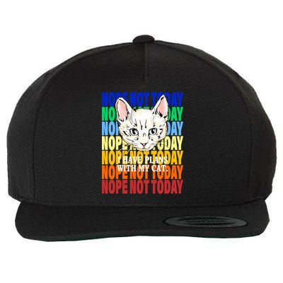 Nope Not Today I Have Plans With My Cat Wool Snapback Cap
