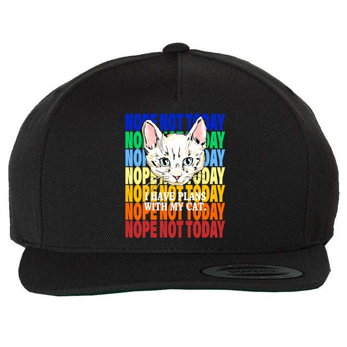 Nope Not Today I Have Plans With My Cat Wool Snapback Cap
