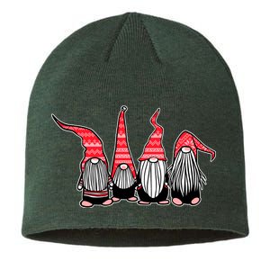 Nordic Gnomes Winter Christmas Sustainable Beanie