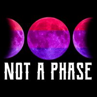 Not A Phase Bi Pride Bisexual 7-Panel Snapback Hat