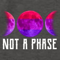 Not A Phase Bi Pride Bisexual Vector Backpack