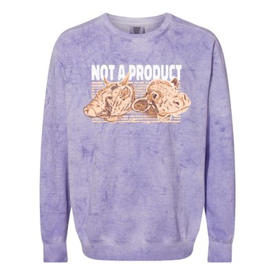 Not A Product Vegan Colorblast Crewneck Sweatshirt