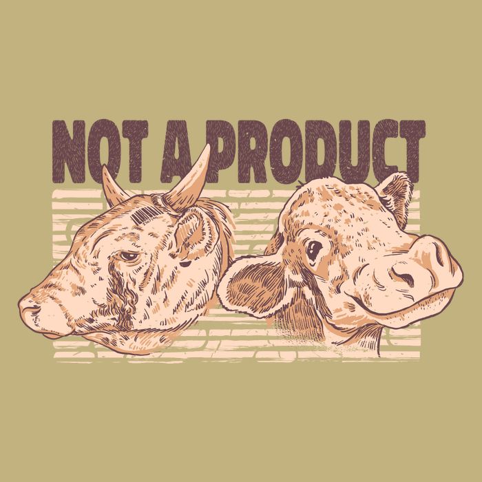 Not A Product Vegan Magnet