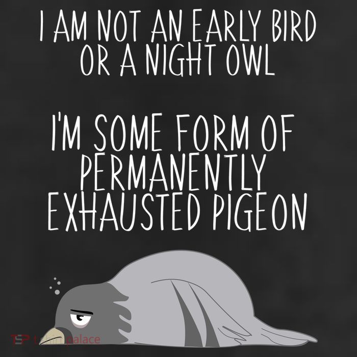 Not An Early Bird Night Owl I'm Some Form Of Permanently Exhausted Pigeon Cool Comfort Performance Bucket Hat
