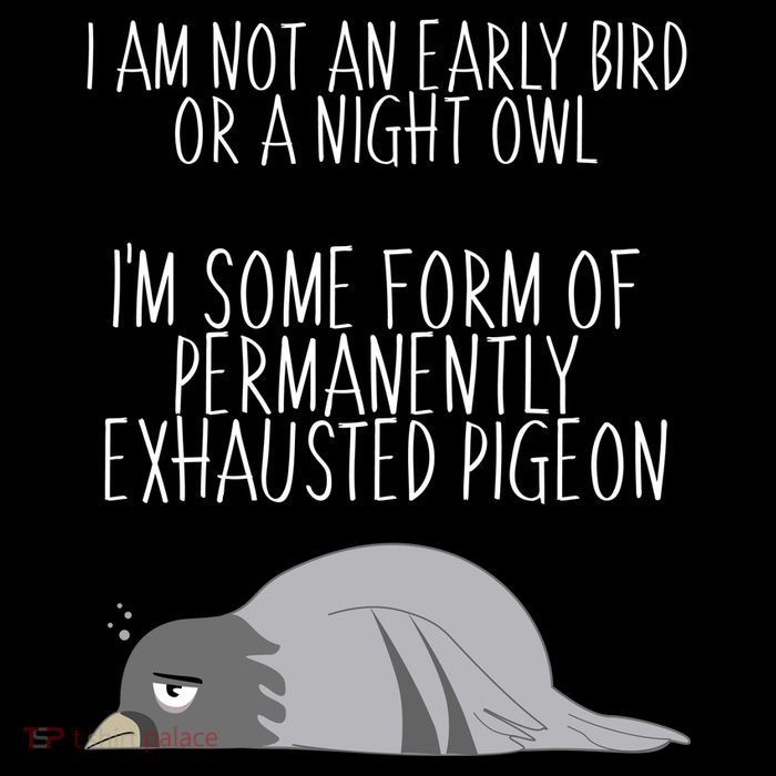 Not An Early Bird Night Owl I'm Some Form Of Permanently Exhausted Pigeon Sustainable Bucket Hat