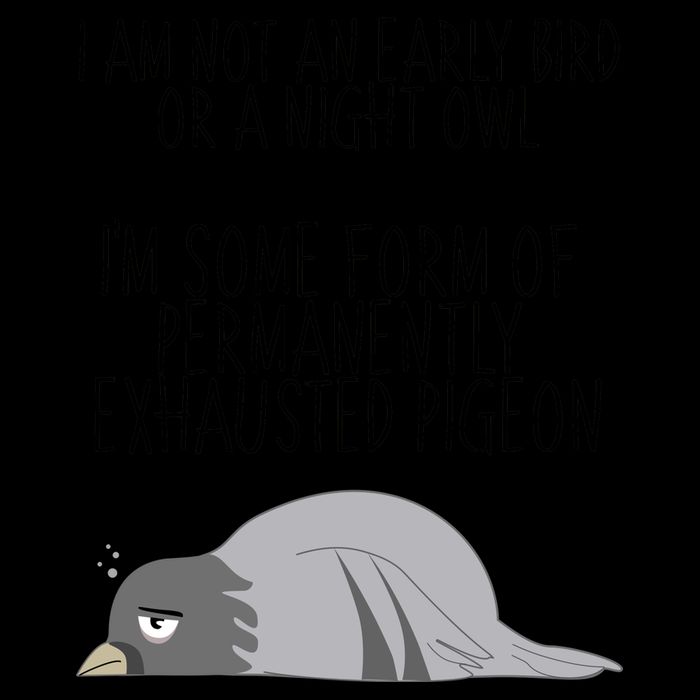 Not An Early Bird Night Owl I'm Some Form Of Permanently Exhausted Pigeon 16oz Travel Tumbler