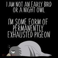Not An Early Bird Night Owl I'm Some Form Of Permanently Exhausted Pigeon Womens Tank Top