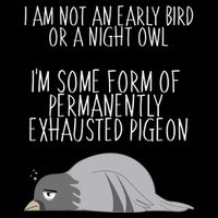 Not An Early Bird Night Owl I'm Some Form Of Permanently Exhausted Pigeon Pom Pom 12in Knit Beanie