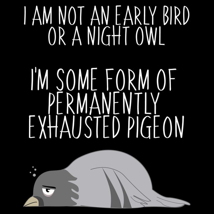 Not An Early Bird Night Owl I'm Some Form Of Permanently Exhausted Pigeon Pom Pom 12in Knit Beanie