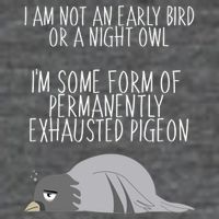 Not An Early Bird Night Owl I'm Some Form Of Permanently Exhausted Pigeon 7-Panel Snapback Hat