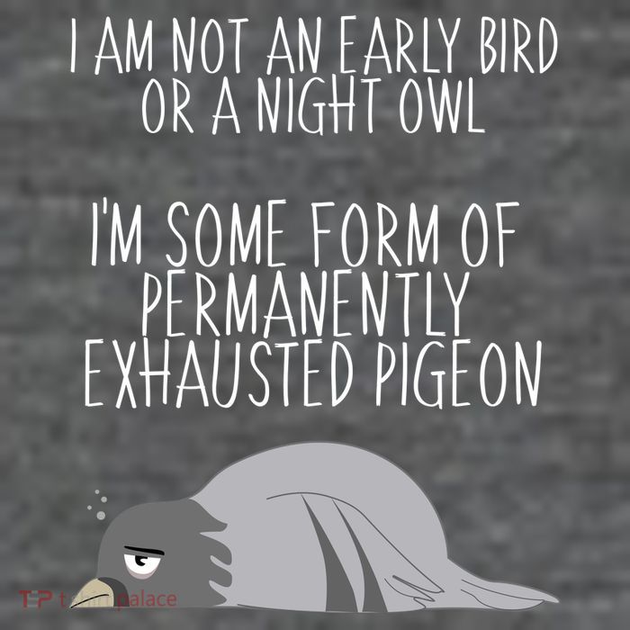 Not An Early Bird Night Owl I'm Some Form Of Permanently Exhausted Pigeon 25L Jumbo Tote