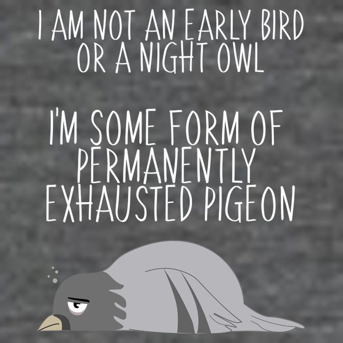 Not An Early Bird Night Owl I'm Some Form Of Permanently Exhausted Pigeon Tank Top