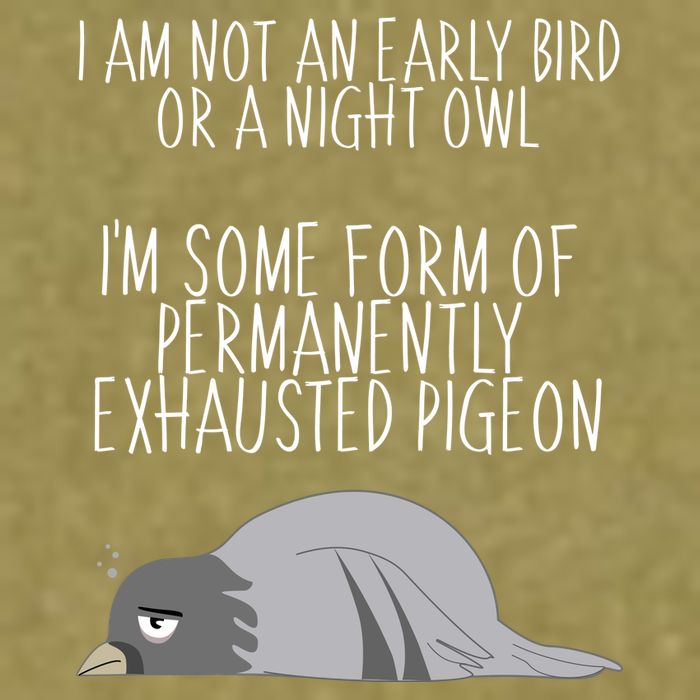 Not An Early Bird Night Owl I'm Some Form Of Permanently Exhausted Pigeon Garment-Dyed Women's Muscle Tee
