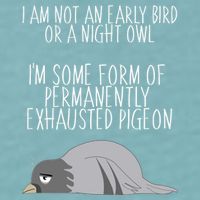 Not An Early Bird Night Owl I'm Some Form Of Permanently Exhausted Pigeon Sueded Cloud Jersey T-Shirt