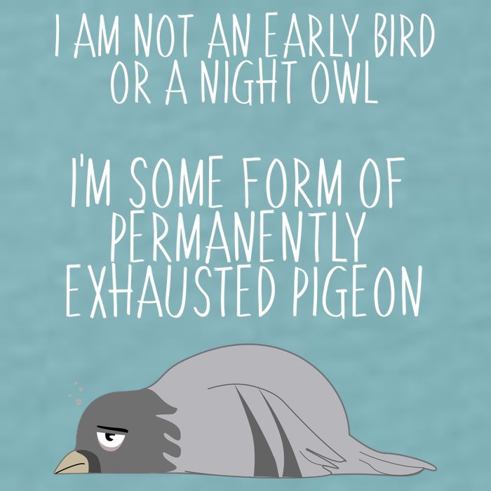 Not An Early Bird Night Owl I'm Some Form Of Permanently Exhausted Pigeon Sueded Cloud Jersey T-Shirt