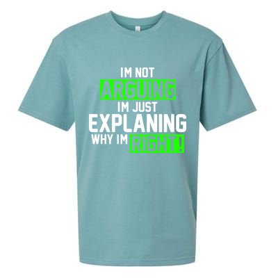 Not Arguing Explaining Why I'm Right Funny Meme Sueded Cloud Jersey T-Shirt