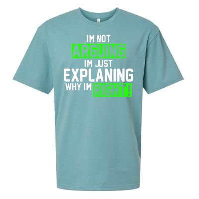 Not Arguing Explaining Why I'm Right Funny Meme Sueded Cloud Jersey T-Shirt