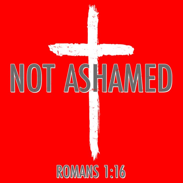 Not Ashamed Romans 1:16 Magnet