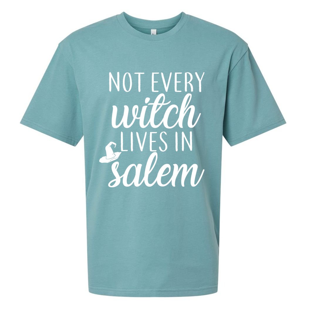 Not Every Witch Live In Salem  Sueded Cloud Jersey T-Shirt