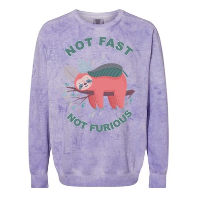 Not Fast Not Furious Sloth Cute Colorblast Crewneck Sweatshirt