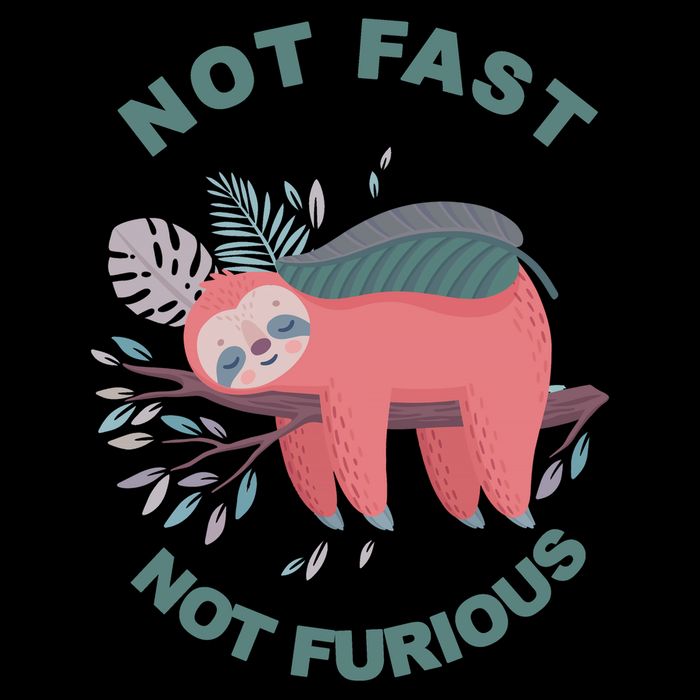 Not Fast Not Furious Sloth Cute Mug