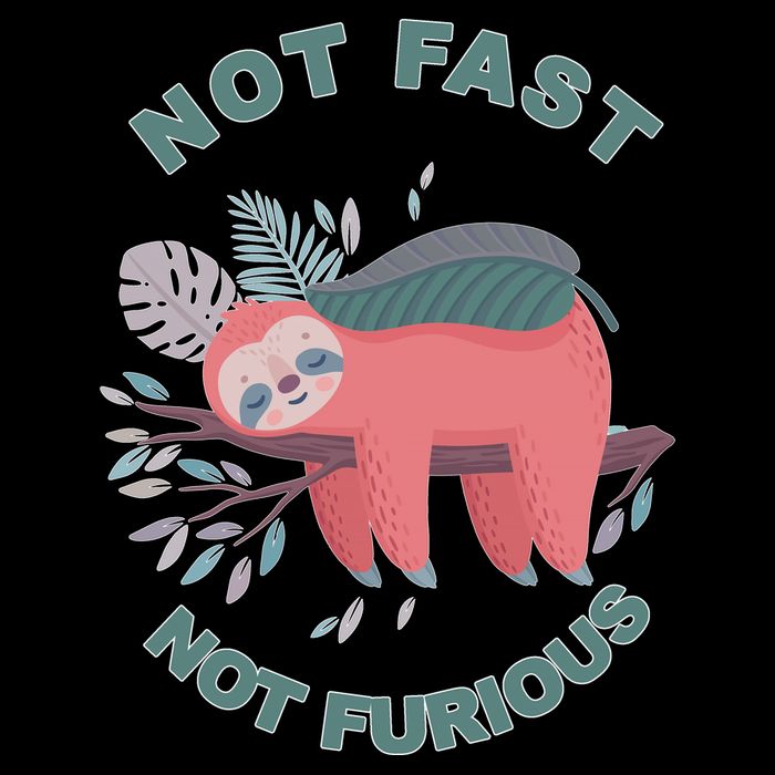 Not Fast Not Furious Sloth Cute Drawstring Bag