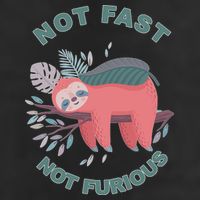 Not Fast Not Furious Sloth Cute Trucker Hat