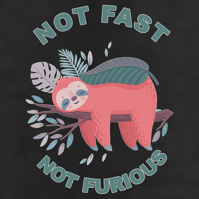 Not Fast Not Furious Sloth Cute Trucker Hat