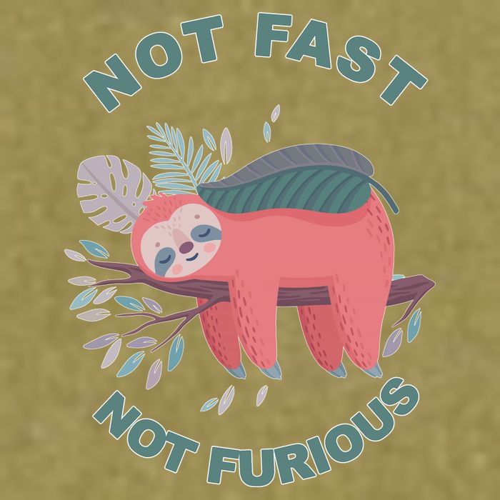 Not Fast Not Furious Sloth Cute Garment-Dyed Women's Muscle Tee
