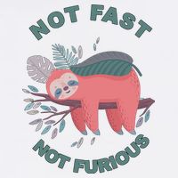 Not Fast Not Furious Sloth Cute Garment-Dyed Sweatshirt