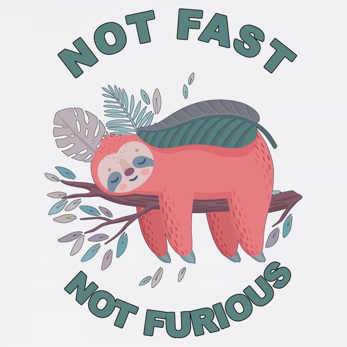 Not Fast Not Furious Sloth Cute Garment-Dyed Sweatshirt