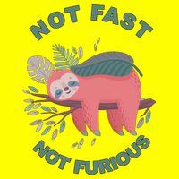 Not Fast Not Furious Sloth Cute T-Shirt