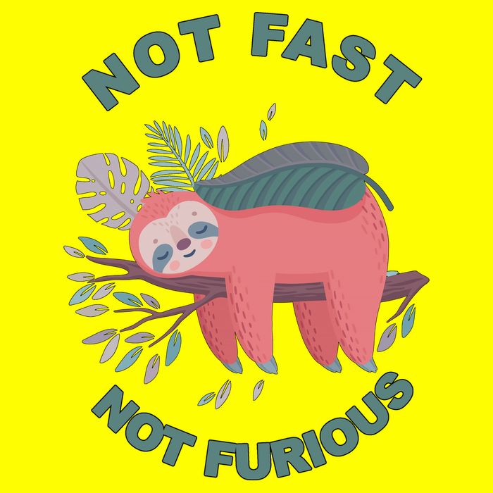 Not Fast Not Furious Sloth Cute Button
