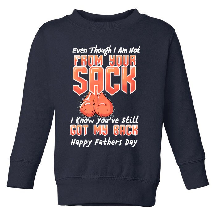 Not From Your Sack I Know You've Still Got My Back Toddler Sweatshirt