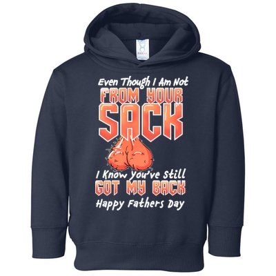 Not From Your Sack I Know You've Still Got My Back Toddler Hoodie