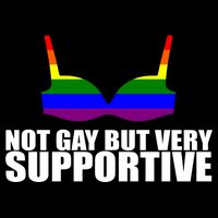 Not Gay But Very Supportive Boobs Toddler T-Shirt